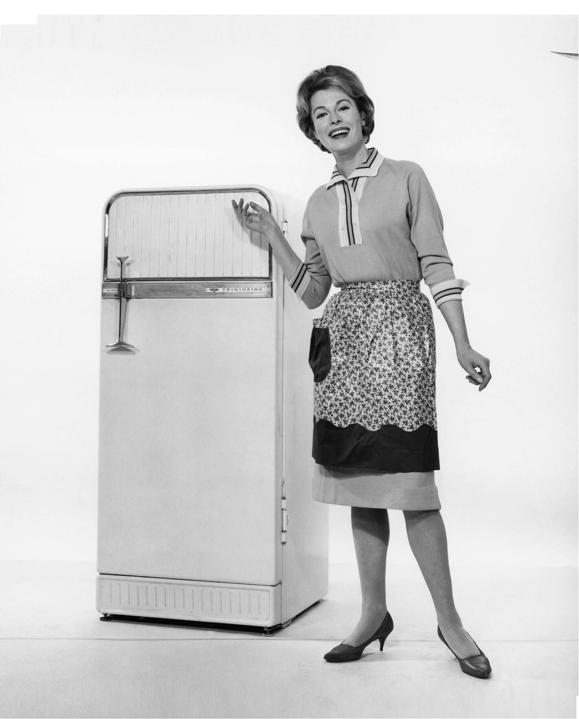 Detail Refrigerator Image Nomer 30