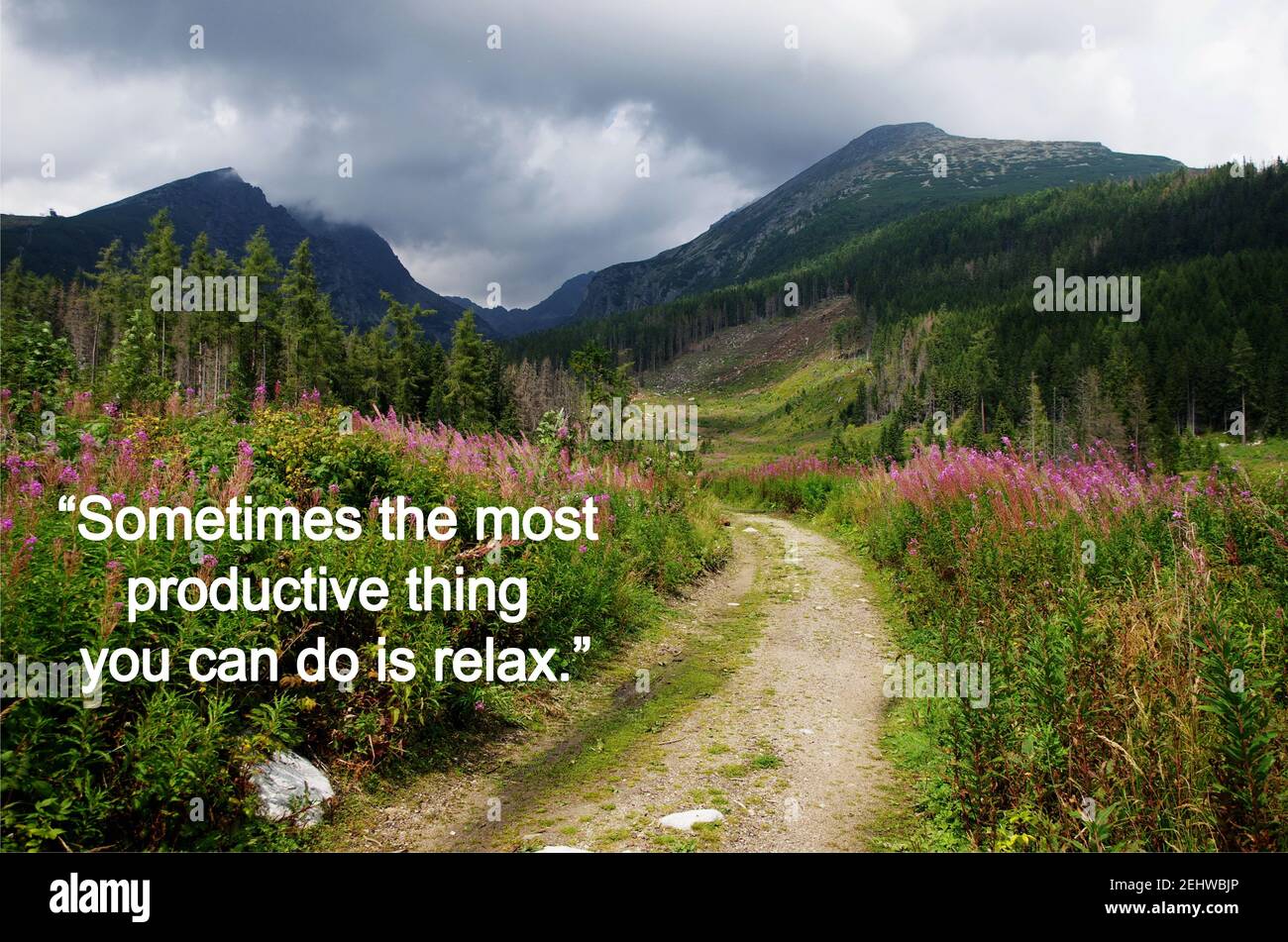 Detail Relax With Nature Quotes Nomer 3