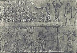Detail Relief Mesir Kuno Nomer 36