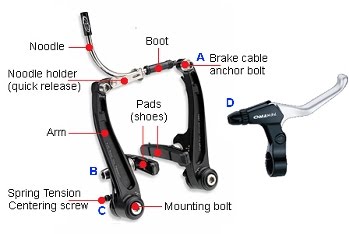 Detail Rem Belakang Sepeda Nomer 8