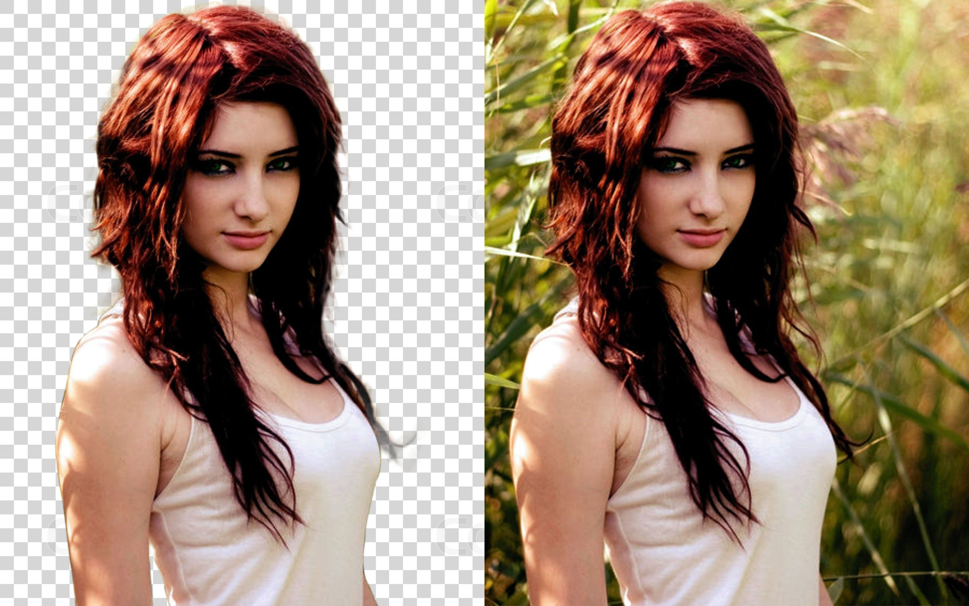 Detail Remove Background Gambar Nomer 48