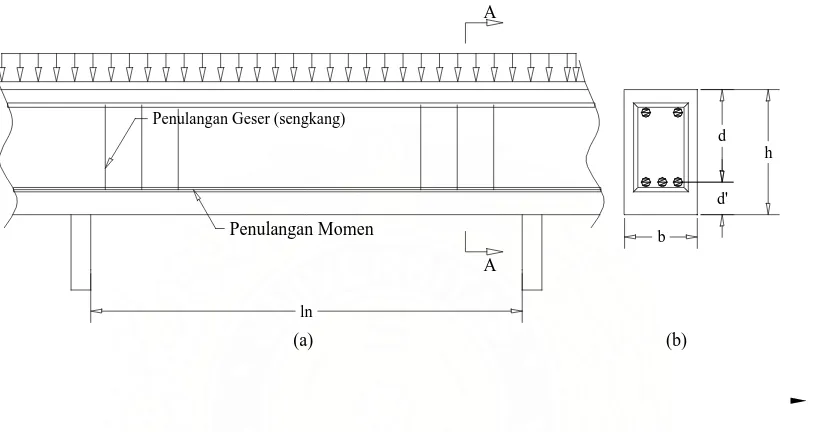 Detail Rencanakan Tulangan Dan Gambar Letak Tulanganya Nomer 9