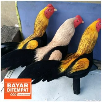 Detail Replika Ayam Jago Nomer 11