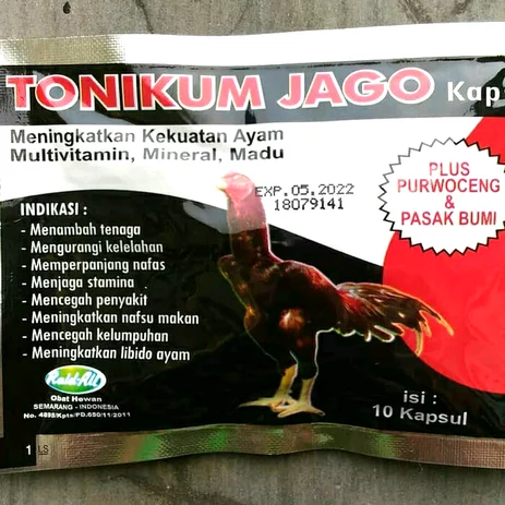 Detail Replika Ayam Jago Nomer 29