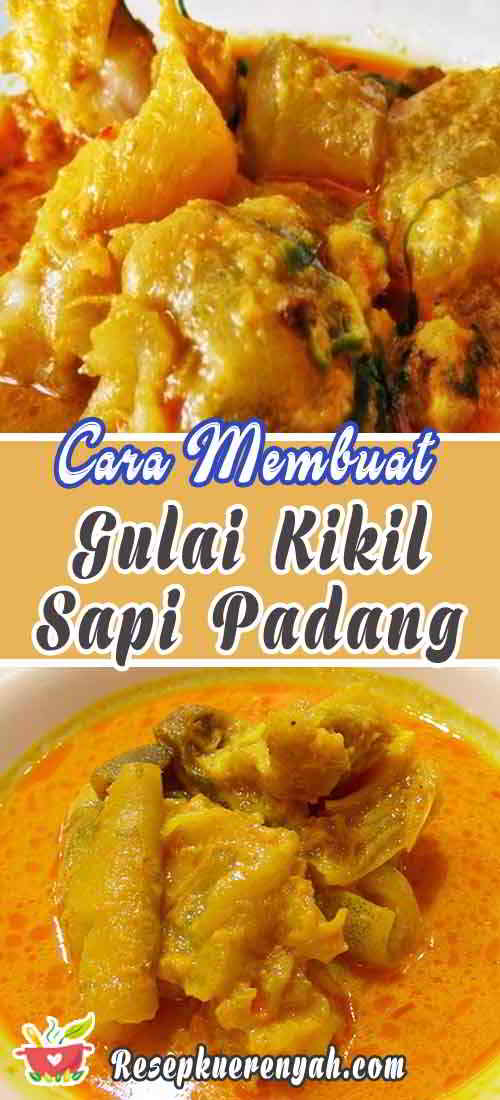 Detail Resep Gulai Kikil Ala Rumah Makan Padang Nomer 43