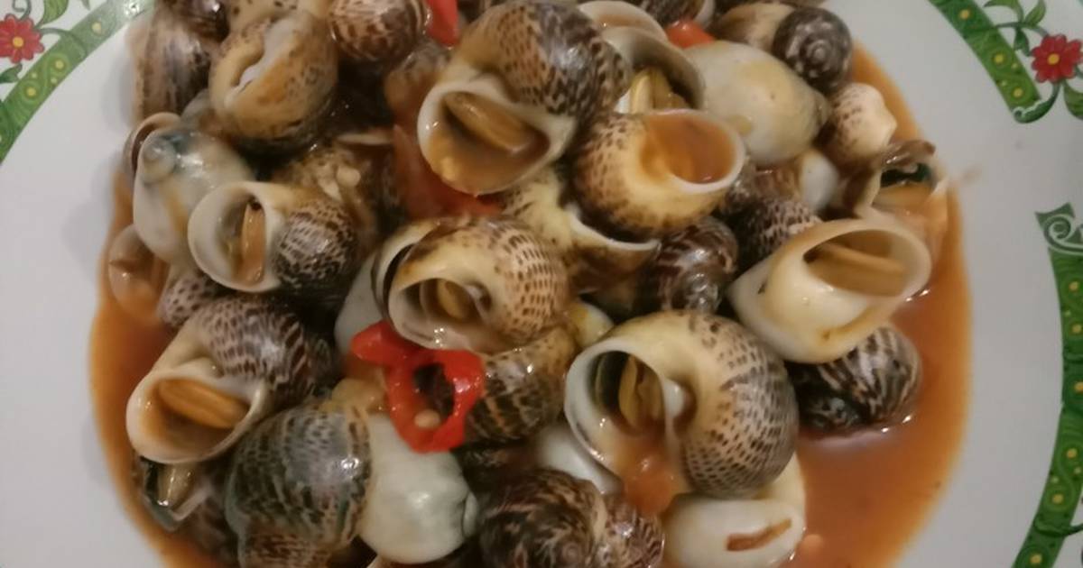 Resep Masak Siput Laut - KibrisPDR