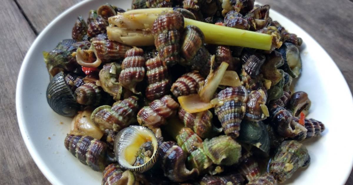 Detail Resep Masak Siput Laut Nomer 2