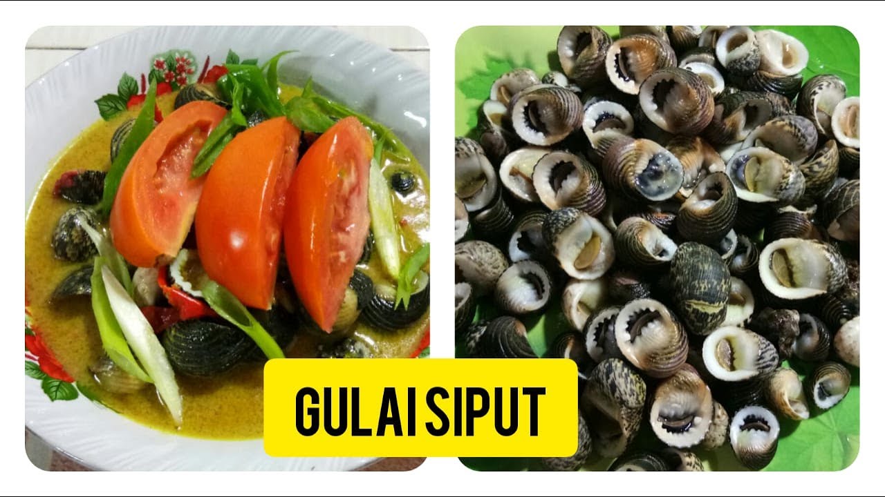Detail Resep Masak Siput Laut Nomer 11