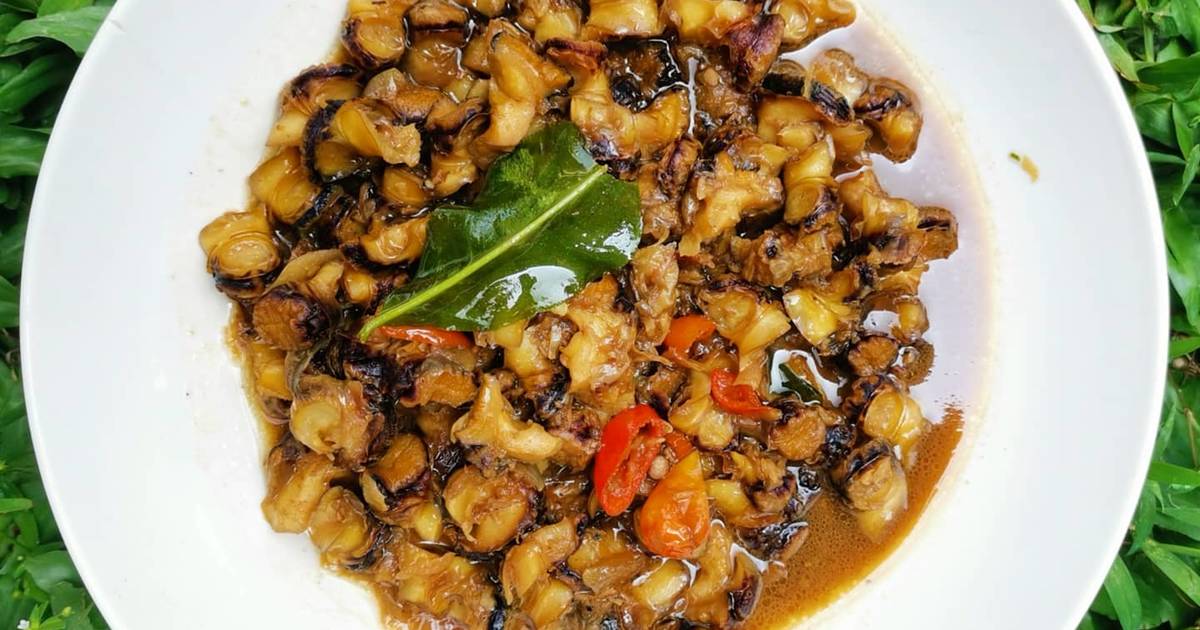 Detail Resep Masak Siput Laut Nomer 16