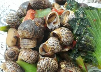 Detail Resep Masak Siput Laut Nomer 18