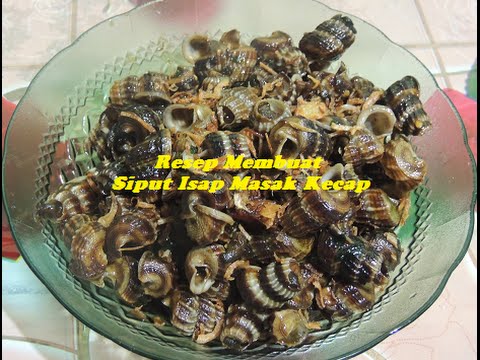 Detail Resep Masak Siput Laut Nomer 27