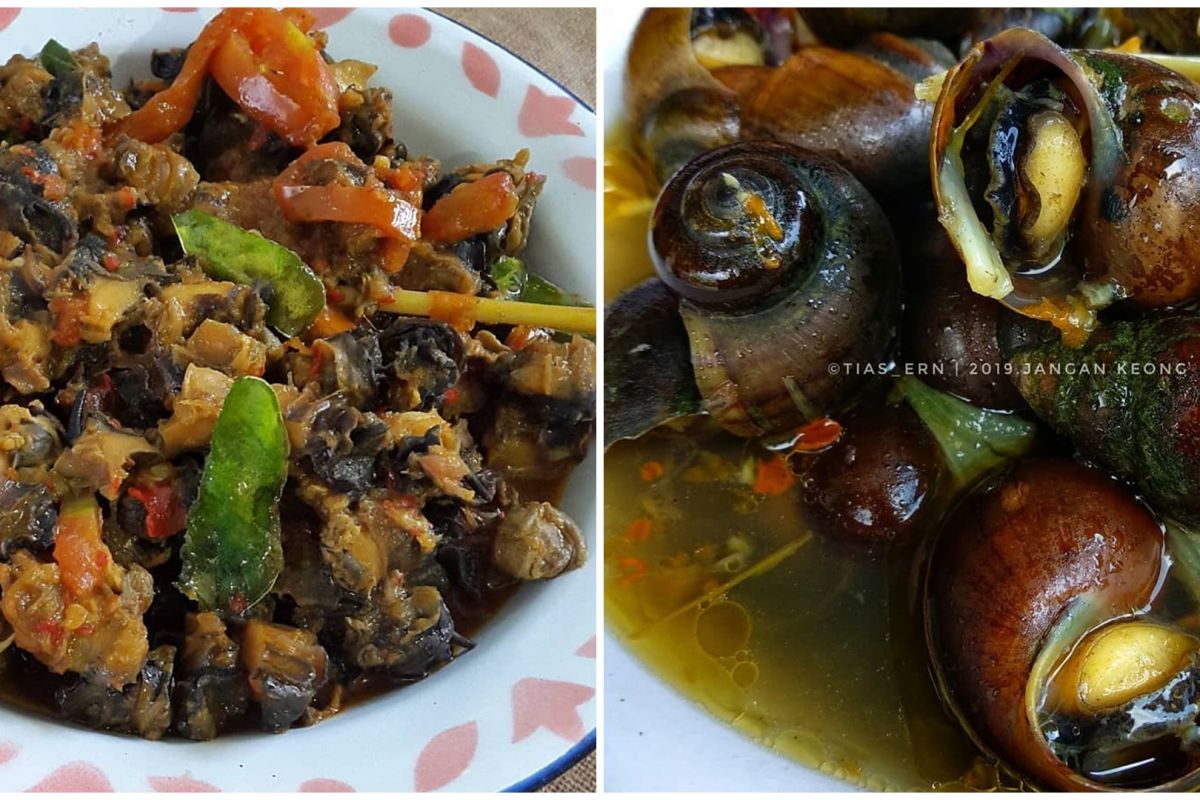 Detail Resep Masak Siput Laut Nomer 28