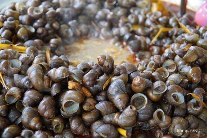 Detail Resep Masak Siput Laut Nomer 29
