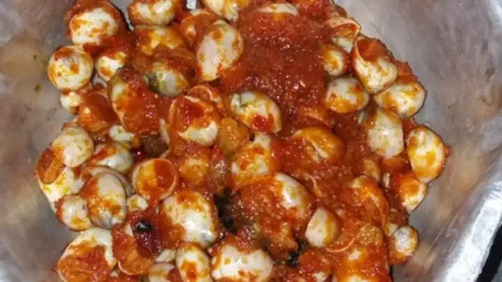 Detail Resep Masak Siput Laut Nomer 33