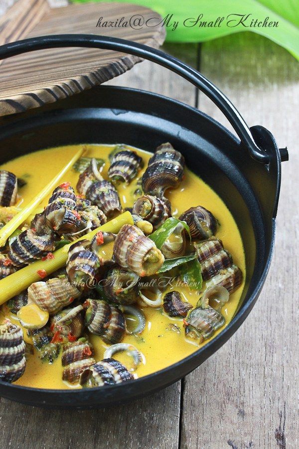 Detail Resep Masak Siput Laut Nomer 38