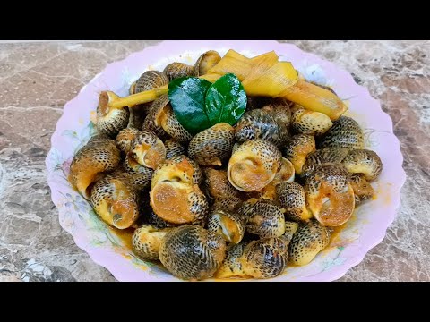 Detail Resep Masak Siput Laut Nomer 39