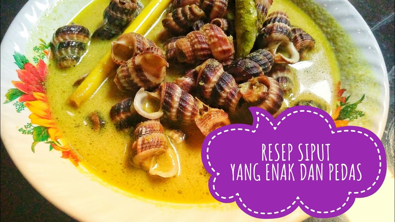 Detail Resep Masak Siput Laut Nomer 45