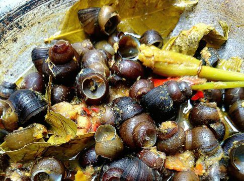 Detail Resep Masak Siput Laut Nomer 50