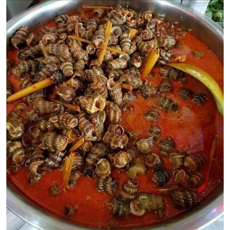 Detail Resep Masak Siput Laut Nomer 8