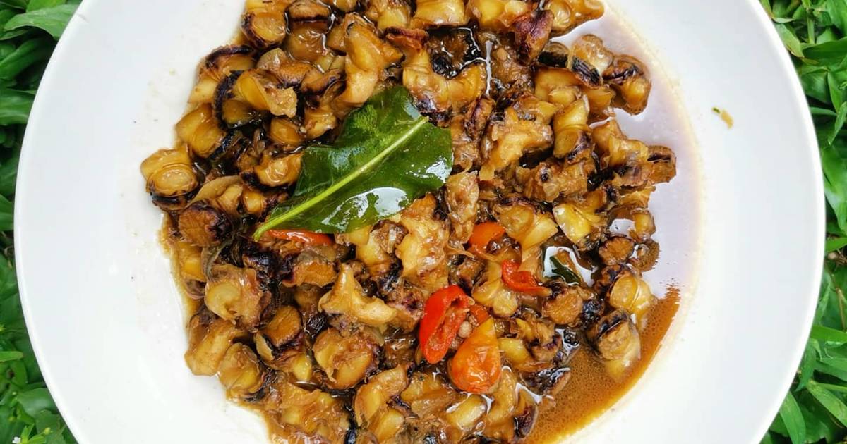 Detail Resep Masakan Siput Laut Nomer 11