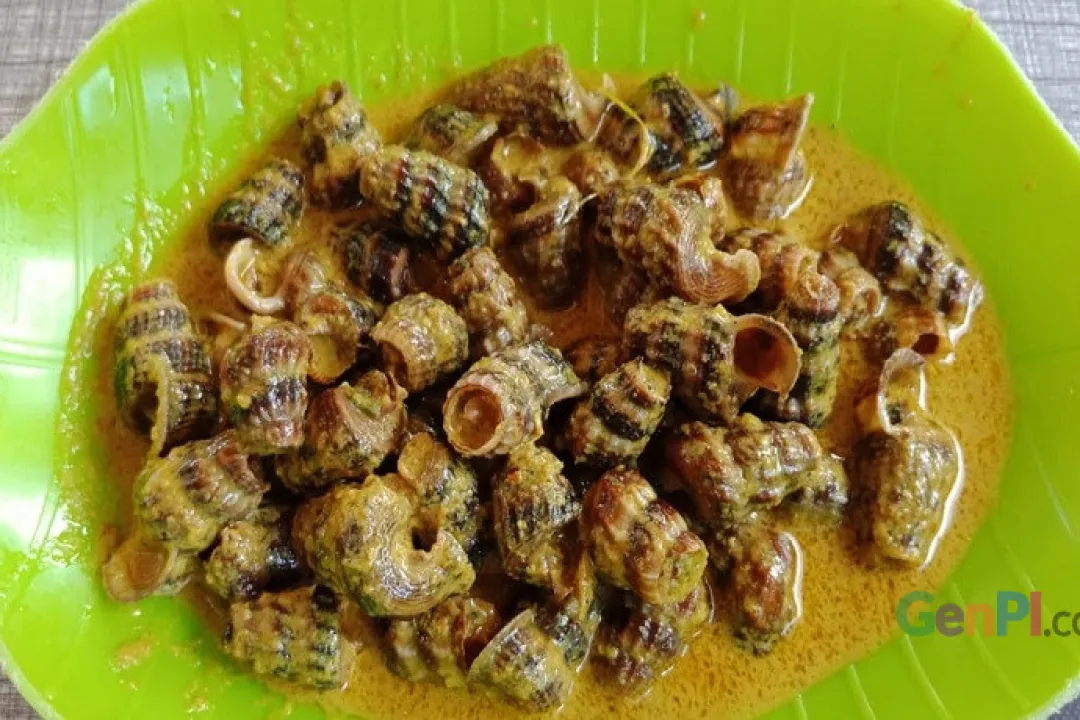 Detail Resep Masakan Siput Laut Nomer 30