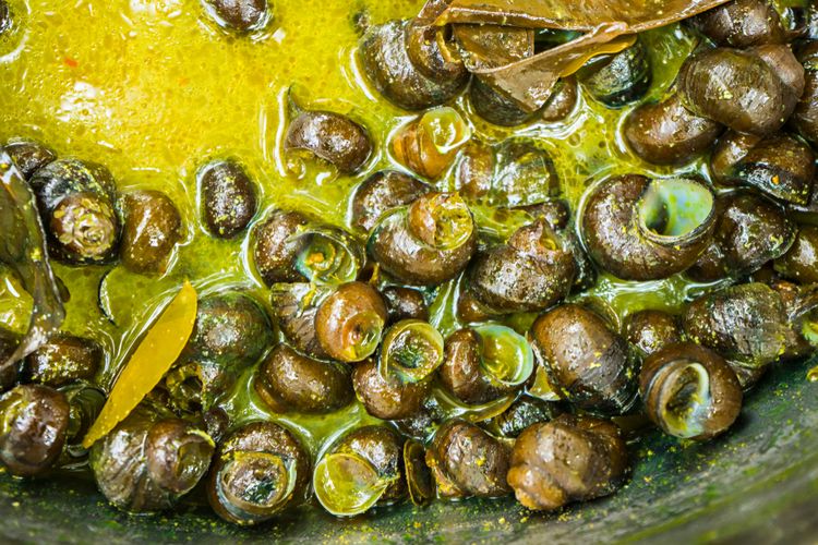 Detail Resep Masakan Siput Laut Nomer 44