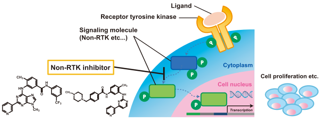 Detail Reseptor Tirosin Kinase Nomer 25
