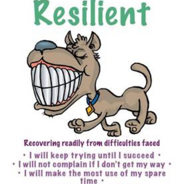 Detail Resilience Quotes Funny Nomer 37