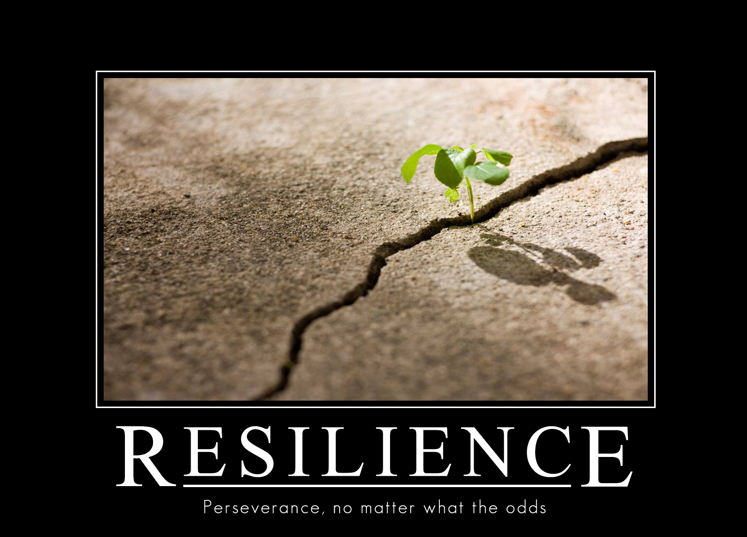 Detail Resilience Quotes Funny Nomer 7