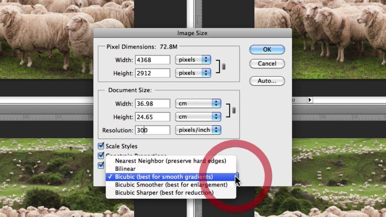 Detail Resize Gambar Di Photoshop Cs6 Nomer 37