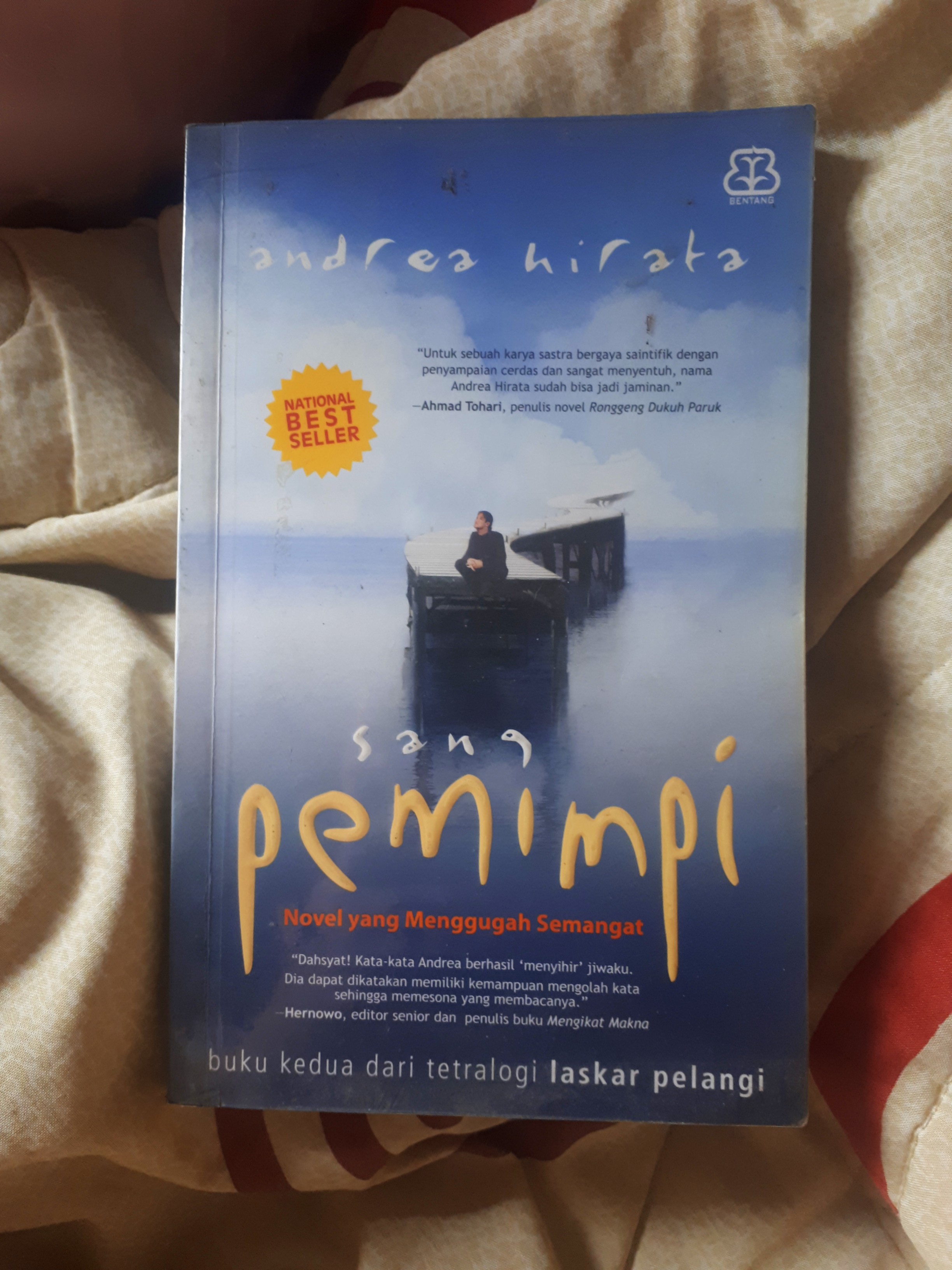 Detail Resume Novel Sang Pemimpi Nomer 19