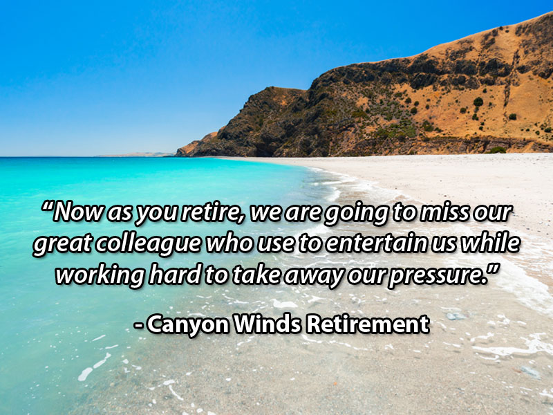 Detail Retirement Quotes For Colleagues At Work Nomer 14