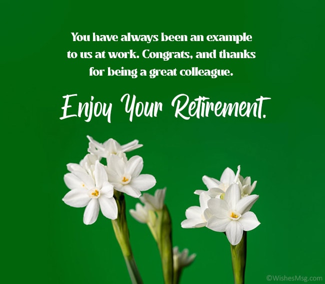 Detail Retirement Quotes For Colleagues At Work Nomer 10