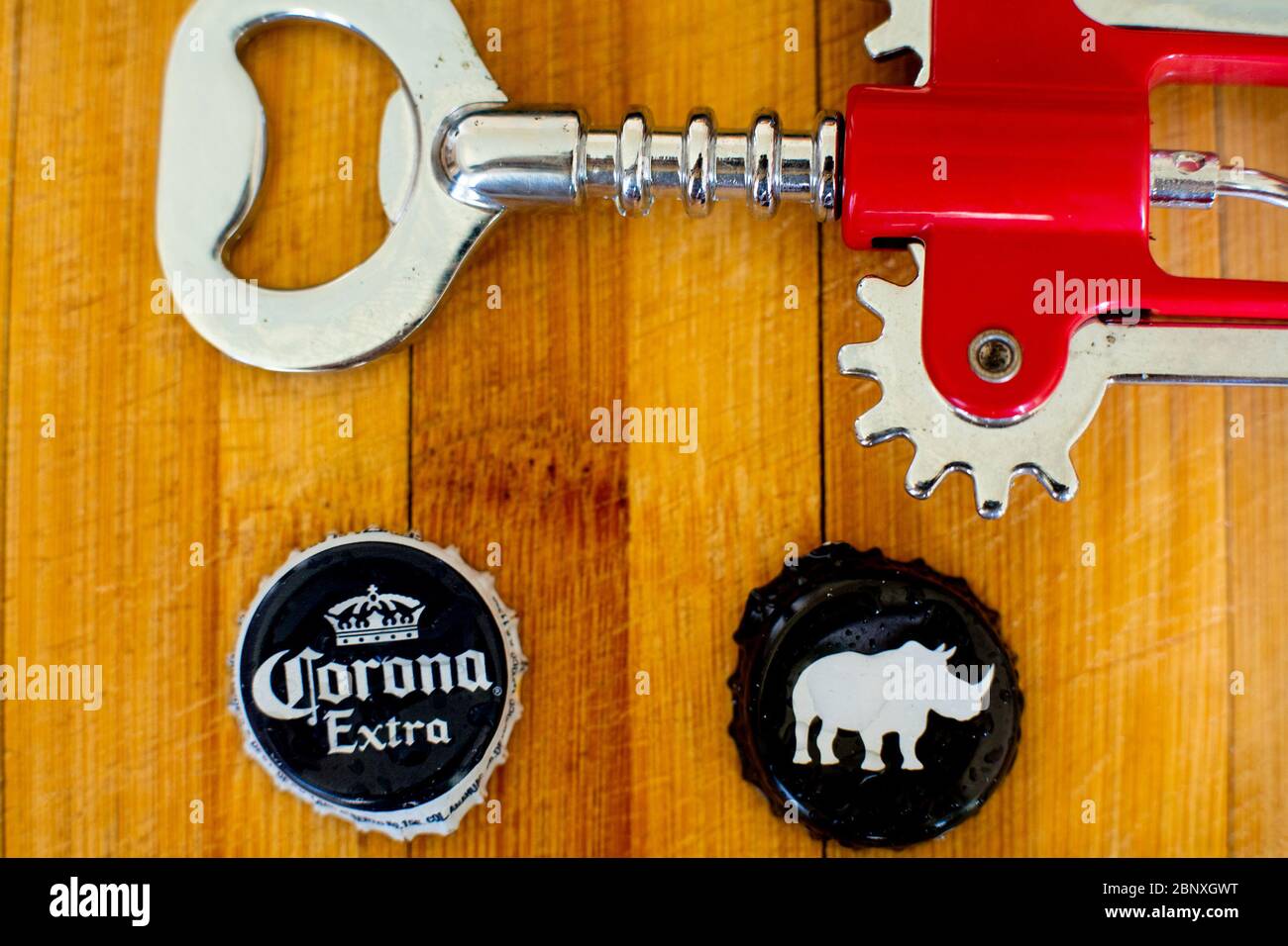 Detail Rhino Bottle Opener Nomer 25