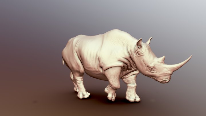 Detail Rhino Images Free Nomer 52