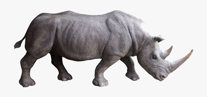 Detail Rhino Transparent Background Nomer 16