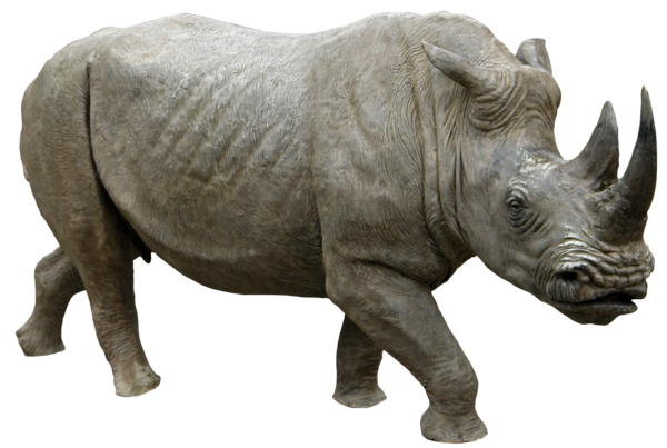 Detail Rhino Transparent Background Nomer 20