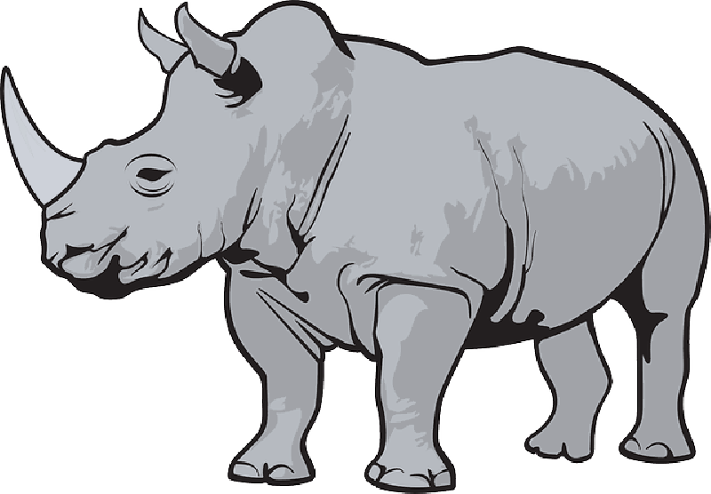 Detail Rhino Transparent Background Nomer 28