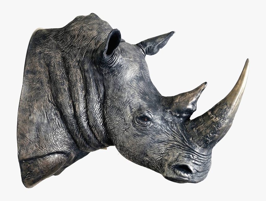 Detail Rhino Transparent Background Nomer 34