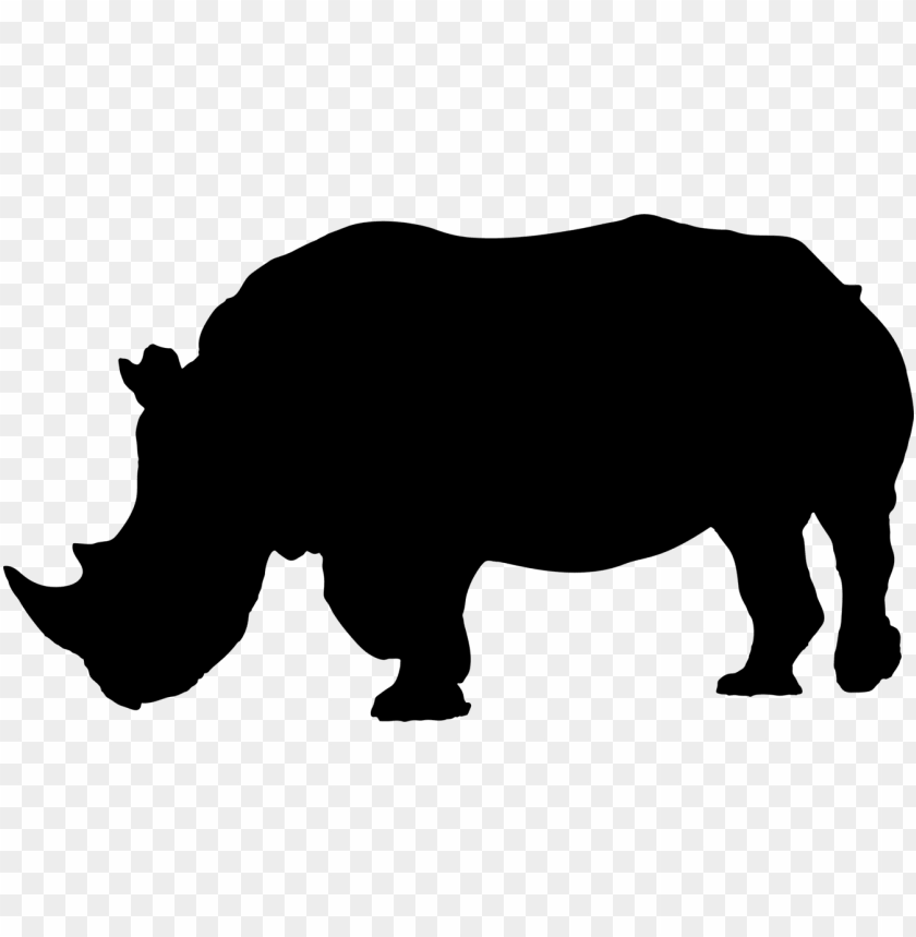 Detail Rhino Transparent Background Nomer 42