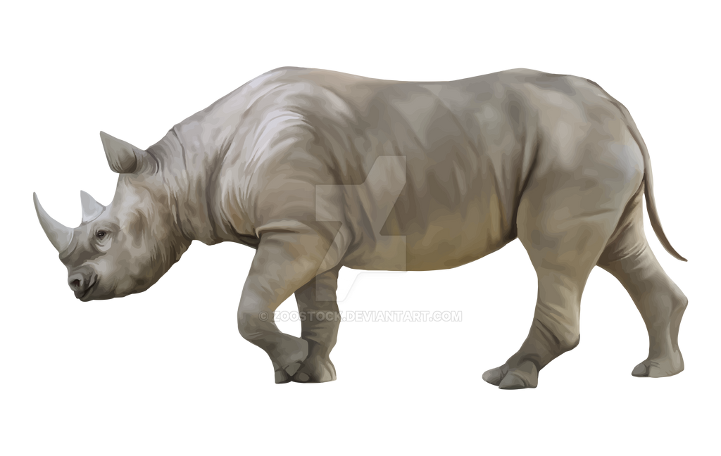 Detail Rhino Transparent Background Nomer 52