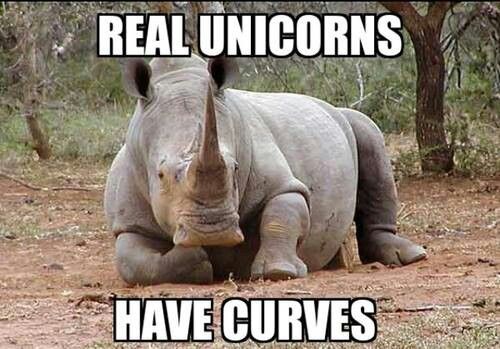 Rhino Unicorn Meme - KibrisPDR