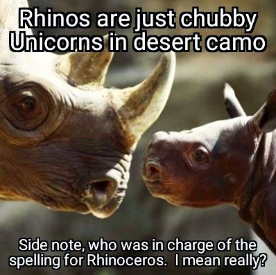 Detail Rhino Unicorn Meme Nomer 30