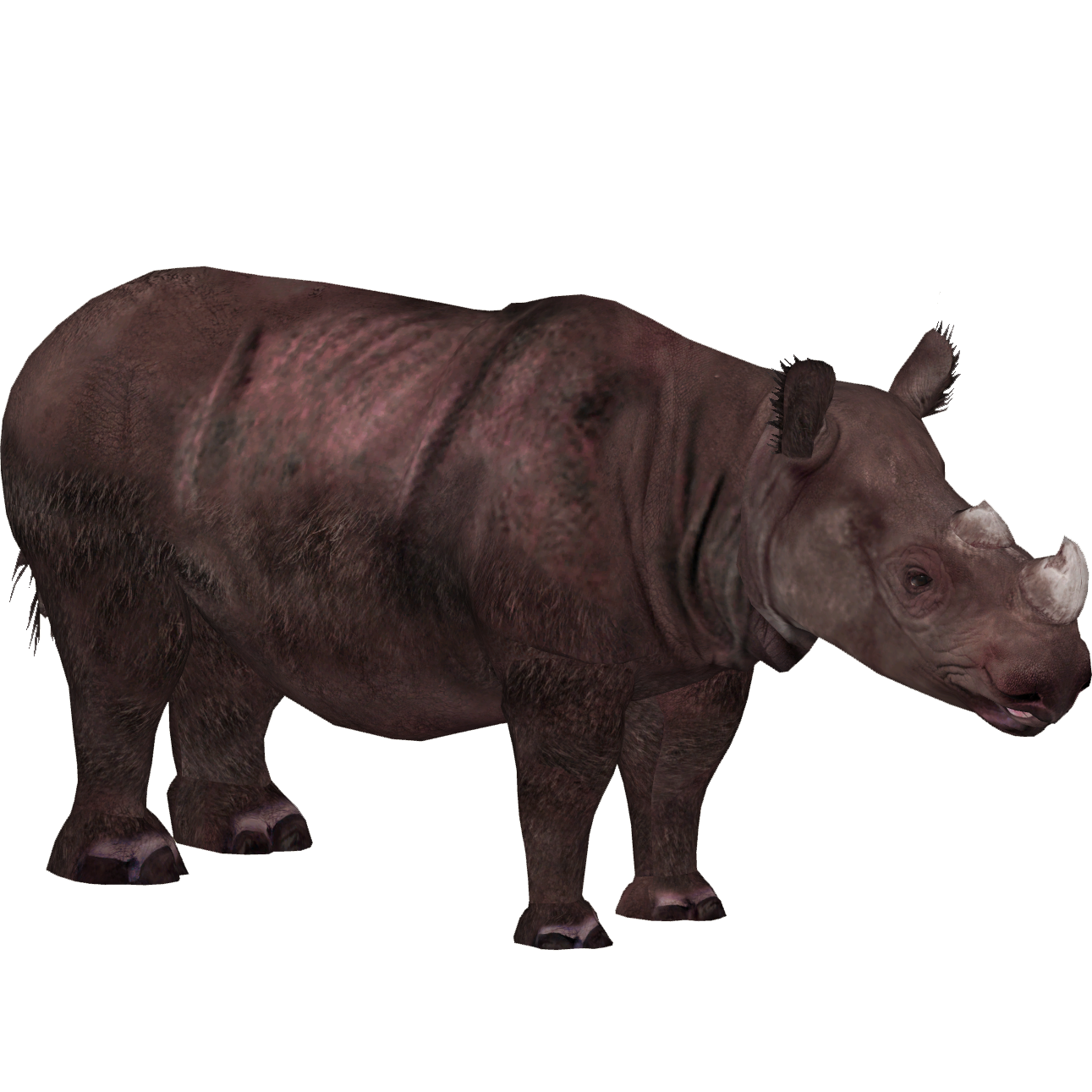 Detail Rhinoceros Download Nomer 40