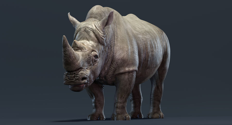 Detail Rhinoceros Free Nomer 53