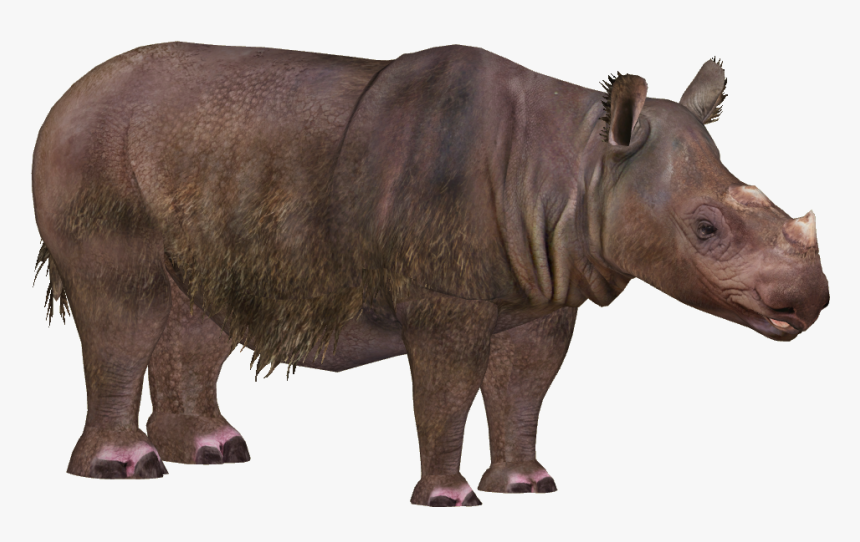 Detail Rhinoceros Png Nomer 23