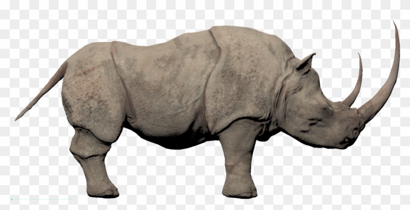 Detail Rhinoceros Png Nomer 32