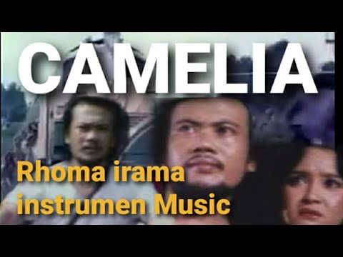 Detail Rhoma Irama Camelia Nomer 41