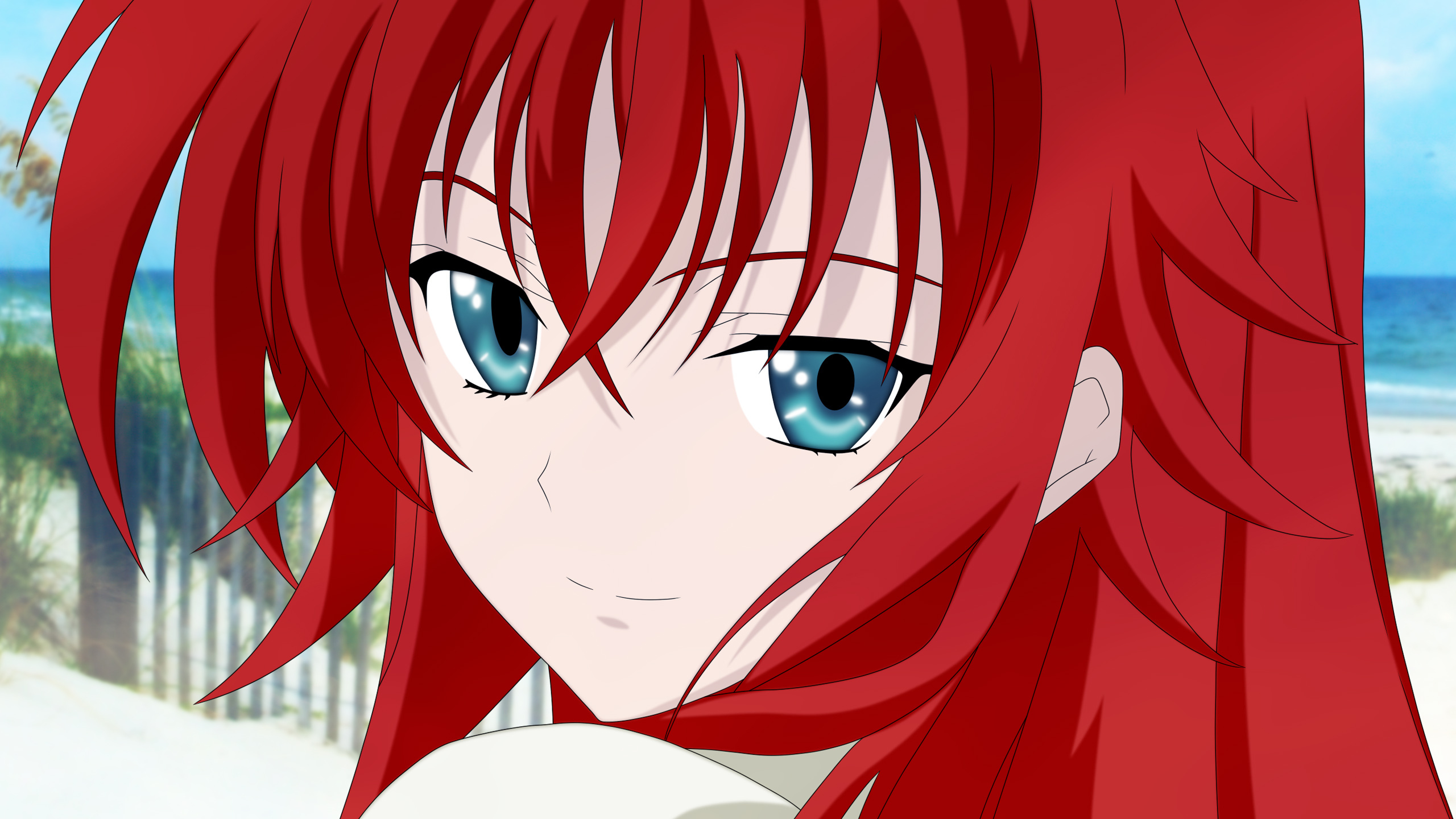 Detail Rias Gremory Hd Nomer 30