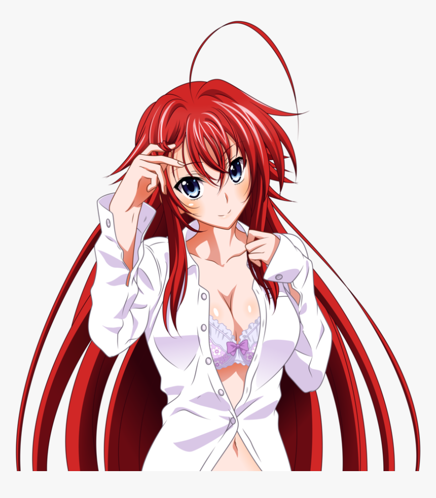 Detail Rias Gremory Hd Nomer 6